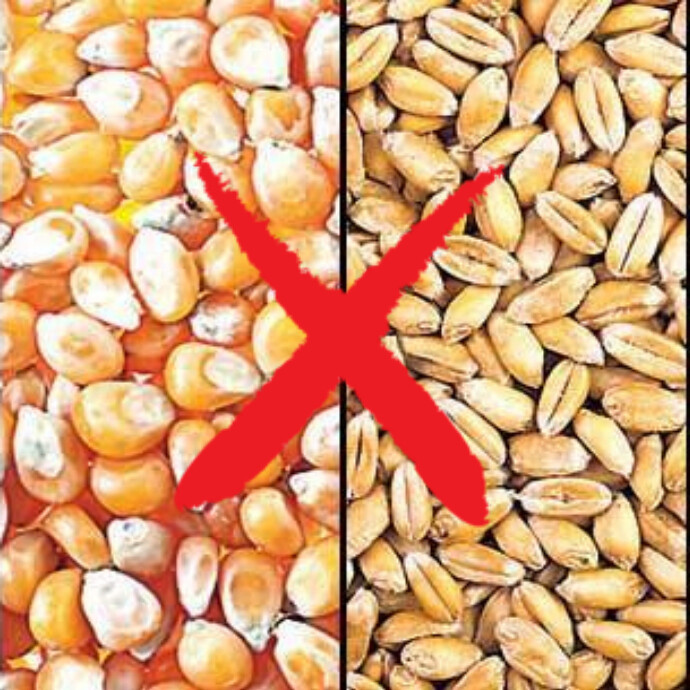 Grain Free
