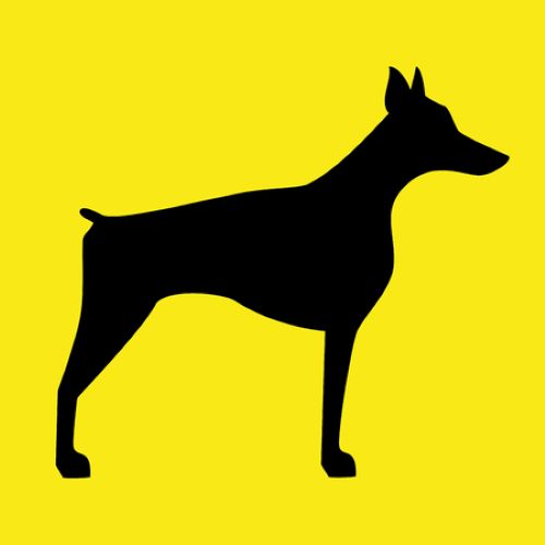 Más recomendados perros