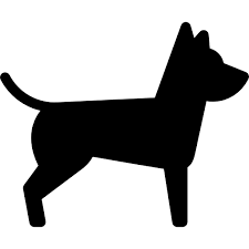 Alimentos Perros