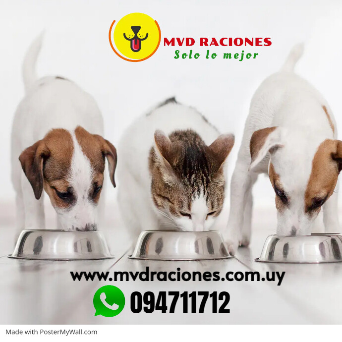Imagen de Cómo es la fabricación de alimentos balanceados para perros?